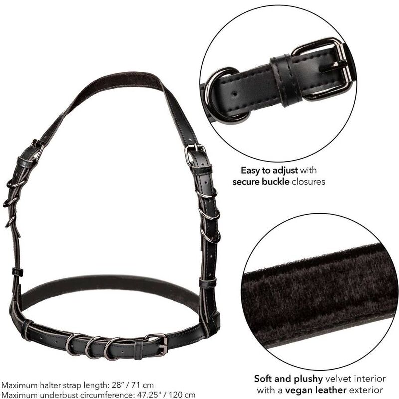 CALEXOTICS - EUPHORIA ARNÉS HATLER WITH HEBILLA TALLA GRANDE NEGRO