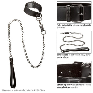 Collier avec laisse à chaîne