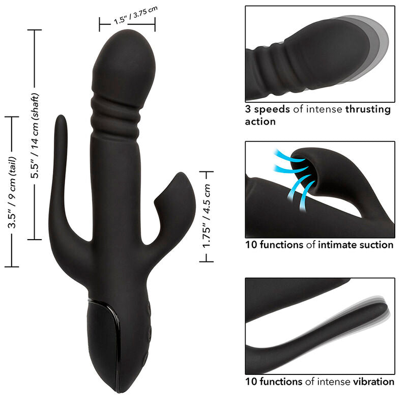 CALEXOTICS - DRIEVOUDIGE VIBRADOR EUPHORIA NEGRO