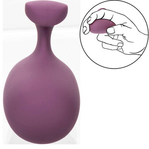 CalExotics – Stimulateur mod touch violet