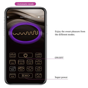 Pretty Love – Baird application lilas rechargeable g-spot 12 vibrations