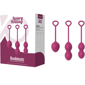 Armony – Anabiosis haltère vaginale 3 niveaux bourgogne