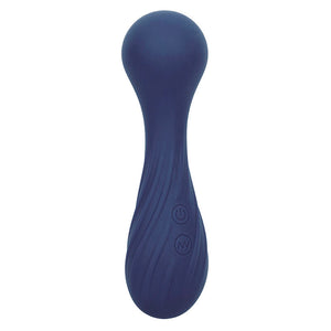 CalExotics – Charisma temptation masseur 12 fonctions violet