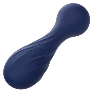 CalExotics – Charisma temptation masseur 12 fonctions violet