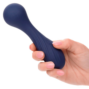 CalExotics – Charisma temptation masseur 12 fonctions violet