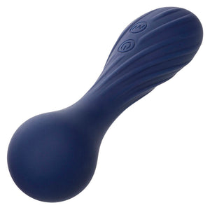CalExotics – Charisma temptation masseur 12 fonctions violet