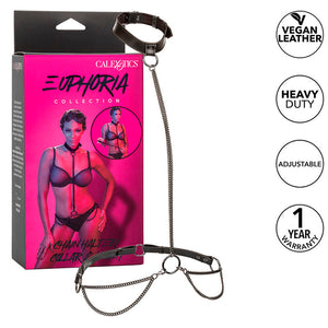 Licou et collier à chaîne