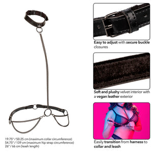 Licou et collier à chaîne Plus