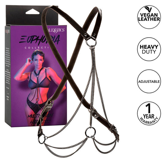 CALEXOTICS - EUPHORIA WITH MULTIPLE PREMIUM PADLOCKS