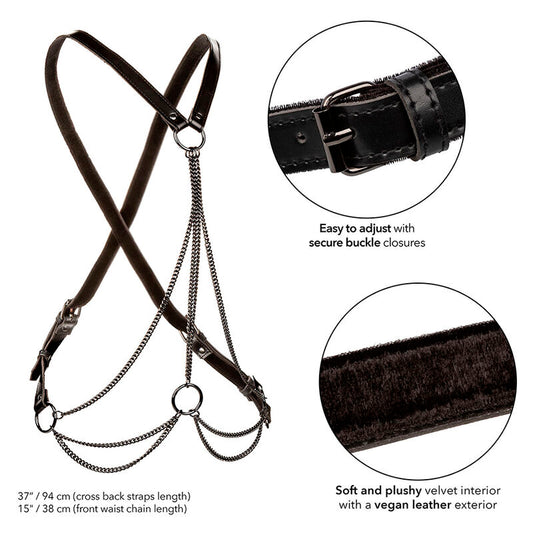 CALEXOTICS - EUPHORIA WITH MULTIPLE PREMIUM PADLOCKS