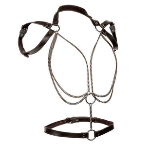 Licou multi-chaînes