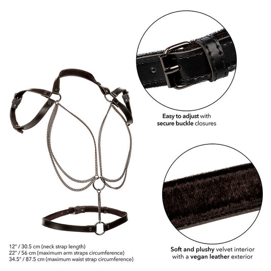 CALEXOTICS - EUPHORIA ARNÉS ESTILO CABESTRO WITH MÚLTIPLES CADENAS PREMIUM
