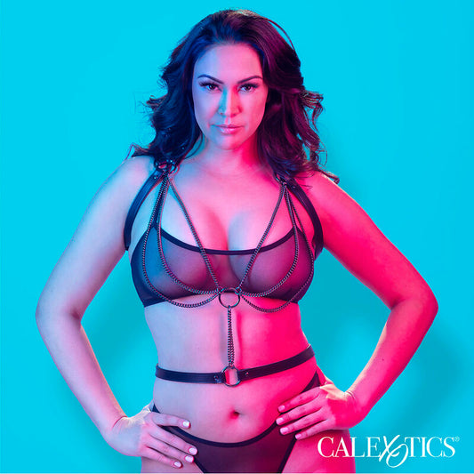CALEXOTICS - EUPHORIA ARNÉS ESTILO CABESTRO WITH MÚLTIPLES PADLOCKS PREMIUM TALLA PLUS