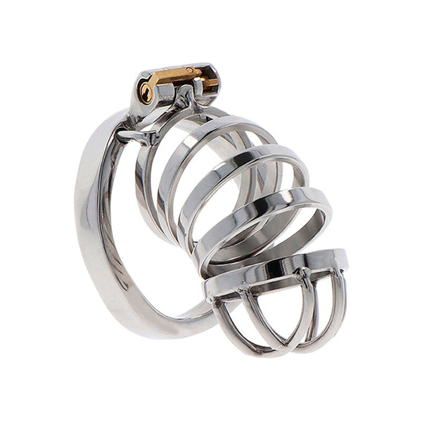 Cage de chasteté en métal