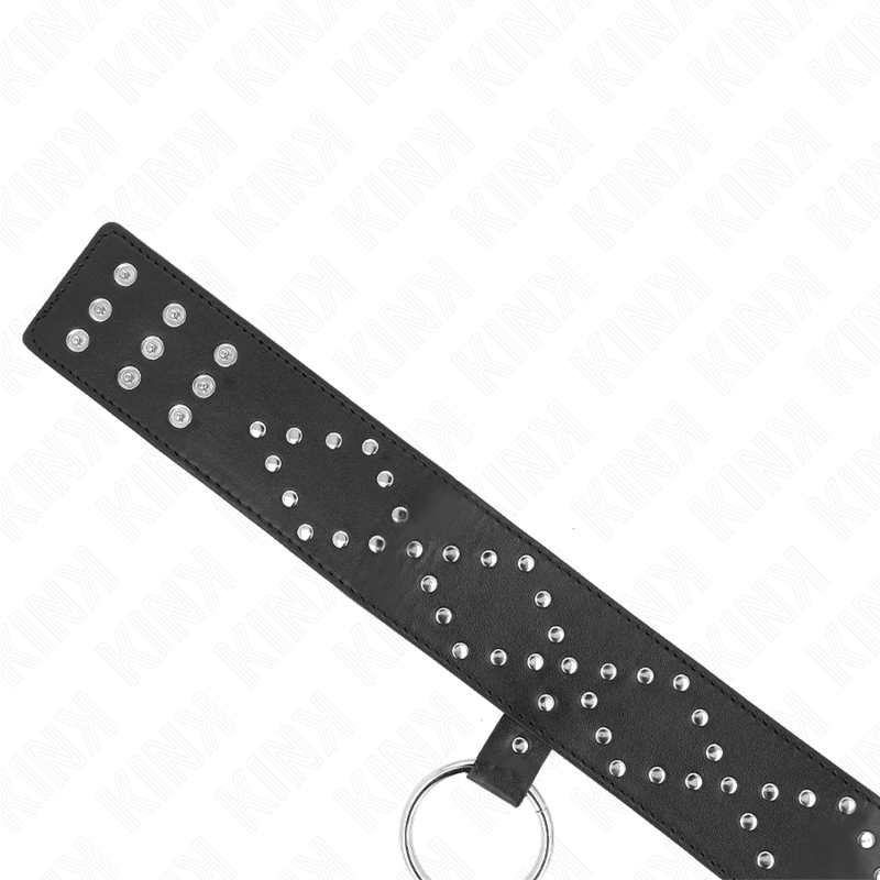 KINK - KRAAG MET CORREA 65 CM MET TACHUELAS PLATEADAS MODEL 3 VERSTELBAAR 36-43 CM X 5 CM