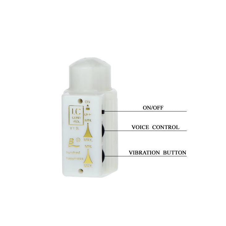 BAILE - MR BIG MASTURBADOR PENE Y ANO REALISTIC