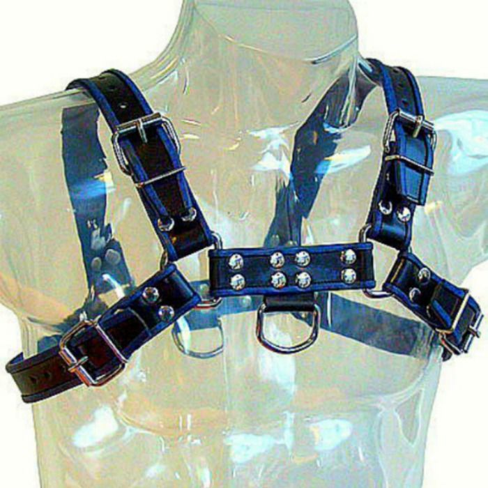 Leather Body – Harnais en cuir bleu et noir poitrine bulldog