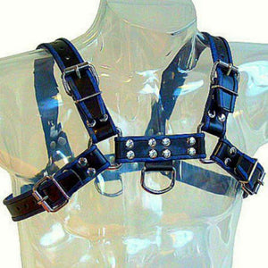 Leather Body – Harnais en cuir bleu et noir poitrine bulldog