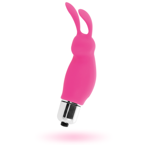 Intense – Lapin roger rose