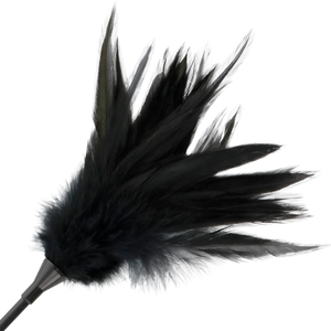 Darkness – Fouet à plumes noires