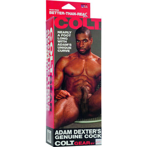 CalExotics – La bite de colt adam dexter
