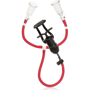 CalExotics – Ondes de stimulation du muscle du poulain