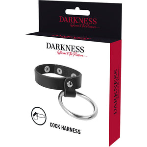 Darkness – Anneau métallique pour le pénis et les testicules