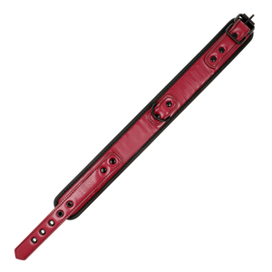 Fetish Submissive Dark Room – Collier chaîne doublure en néoprène