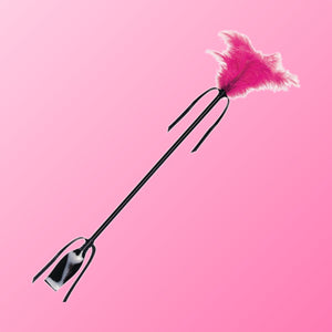 SecretPlay – Fouet & feather noir et fuchsia