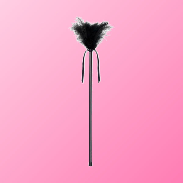 SecretPlay – Plumes noires 40 cm